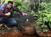 Tindak Lanjut Pengimplementasian RIPPARDA, Pemkab Mura Survei Destinasi Wisata Berpotensi