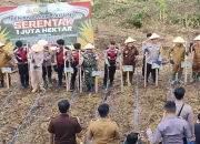 Pj Bupati Murung Raya Hermon Lakukan Tanam Jagung Serentak 1 Juta Hektar di Kecamatan Laung Tuhup