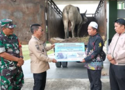 Bupati Mura Serahkan Sapi Kurban dari Presiden RI