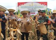Panen Raya Jagung Serentak, Bupati Heriyus Dukung Program Ketahanan Pangan